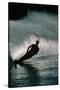 Water Skier in a Slalom Turn-Rick Doyle-Stretched Canvas