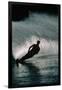 Water Skier in a Slalom Turn-Rick Doyle-Framed Photographic Print