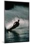 Water Skier in a Slalom Turn-Rick Doyle-Mounted Photographic Print