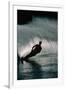 Water Skier in a Slalom Turn-Rick Doyle-Framed Photographic Print