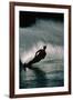 Water Skier in a Slalom Turn-Rick Doyle-Framed Photographic Print