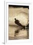 Water Skier Splashing on a Turn-Rick Doyle-Framed Photographic Print