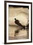 Water Skier Splashing on a Turn-Rick Doyle-Framed Photographic Print