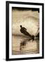 Water Skier Splashing on a Turn-Rick Doyle-Framed Photographic Print