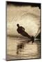 Water Skier Splashing on a Turn-Rick Doyle-Mounted Photographic Print