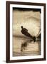 Water Skier Splashing on a Turn-Rick Doyle-Framed Photographic Print