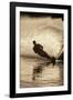 Water Skier Splashing on a Turn-Rick Doyle-Framed Photographic Print