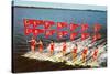 Water Skiers, Cypress Gardens, Florida-null-Stretched Canvas
