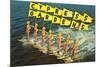 Water Skiers, Cypress Gardens, Florida-null-Mounted Premium Giclee Print