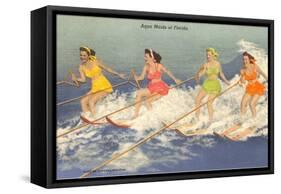 Water Skiers, Florida-null-Framed Stretched Canvas