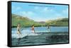 Water Skiers, Pineview Lake-null-Framed Stretched Canvas