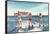 Water Skiers, St. Petersburg, Florida-null-Framed Stretched Canvas