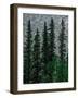 Water Sky-Steven Maxx-Framed Photographic Print