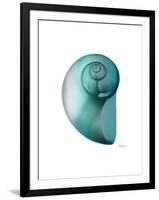 Water Snail 2-Albert Koetsier-Framed Art Print