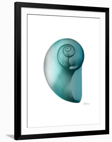 Water Snail 2-Albert Koetsier-Framed Art Print