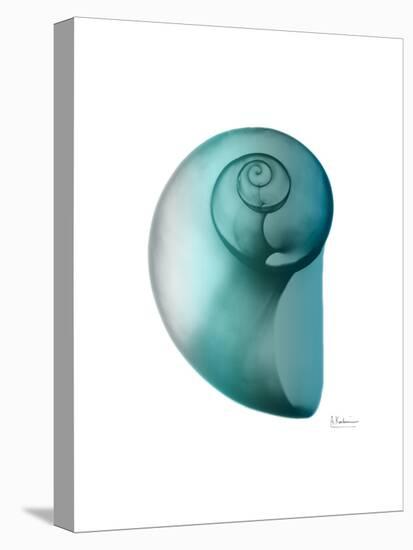 Water Snail 2-Albert Koetsier-Stretched Canvas