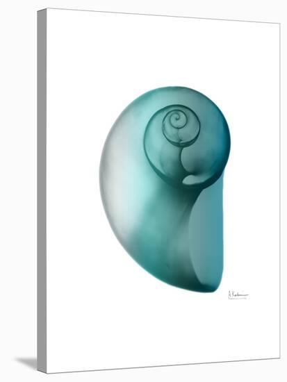 Water Snail 2-Albert Koetsier-Stretched Canvas