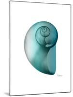 Water Snail 2-Albert Koetsier-Mounted Art Print