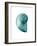 Water Snail 2-Albert Koetsier-Framed Art Print