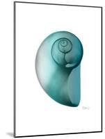 Water Snail 2-Albert Koetsier-Mounted Art Print