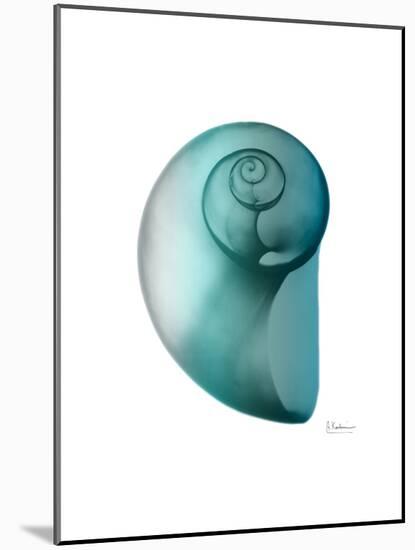 Water Snail 2-Albert Koetsier-Mounted Art Print