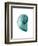 Water Snail 2-Albert Koetsier-Framed Art Print