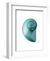 Water Snail 2-Albert Koetsier-Framed Art Print