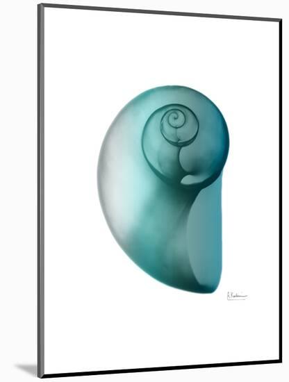 Water Snail 2-Albert Koetsier-Mounted Art Print