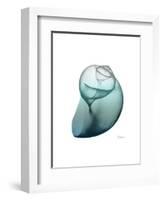 Water Snail 3-Albert Koetsier-Framed Art Print