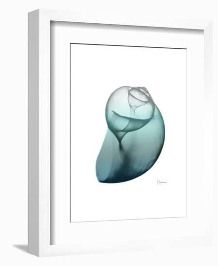 Water Snail 3-Albert Koetsier-Framed Art Print