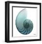 Water Snail 4-Albert Koetsier-Framed Art Print