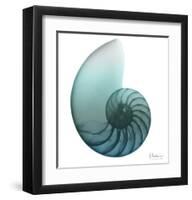 Water Snail 4-Albert Koetsier-Framed Art Print