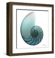 Water Snail 4-Albert Koetsier-Framed Art Print