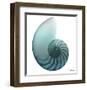 Water Snail 4-Albert Koetsier-Framed Art Print