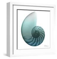 Water Snail 4-Albert Koetsier-Framed Art Print