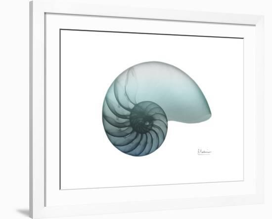 Water Snail 4-Albert Koetsier-Framed Art Print