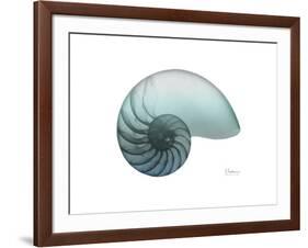 Water Snail 4-Albert Koetsier-Framed Art Print