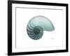 Water Snail 4-Albert Koetsier-Framed Art Print