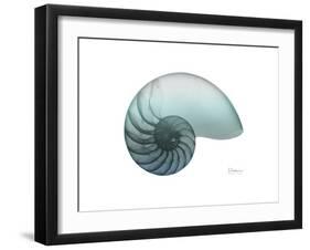 Water Snail 4-Albert Koetsier-Framed Art Print