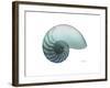 Water Snail 4-Albert Koetsier-Framed Art Print