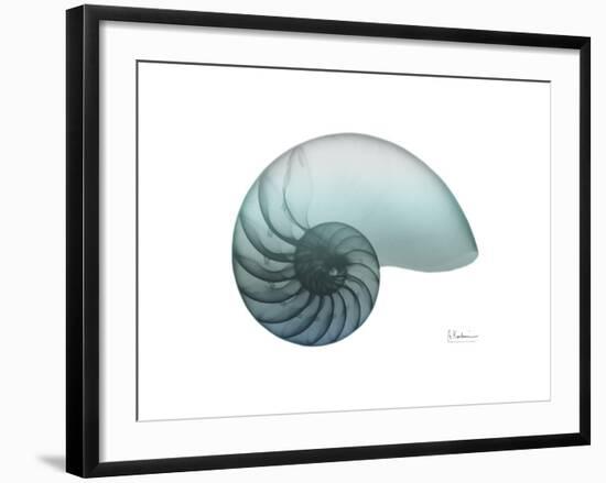 Water Snail 4-Albert Koetsier-Framed Art Print