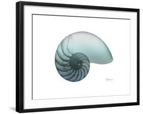 Water Snail 4-Albert Koetsier-Framed Art Print