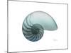 Water Snail 4-Albert Koetsier-Mounted Art Print