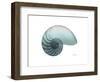 Water Snail 4-Albert Koetsier-Framed Art Print