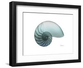 Water Snail 4-Albert Koetsier-Framed Art Print