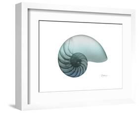 Water Snail 4-Albert Koetsier-Framed Art Print