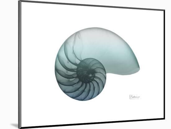 Water Snail 4-Albert Koetsier-Mounted Art Print