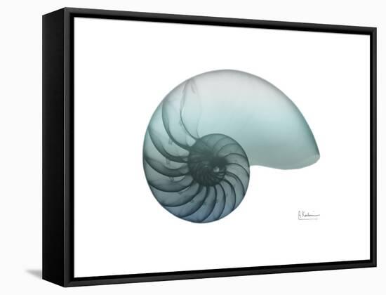 Water Snail 4-Albert Koetsier-Framed Stretched Canvas