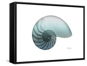 Water Snail 4-Albert Koetsier-Framed Stretched Canvas