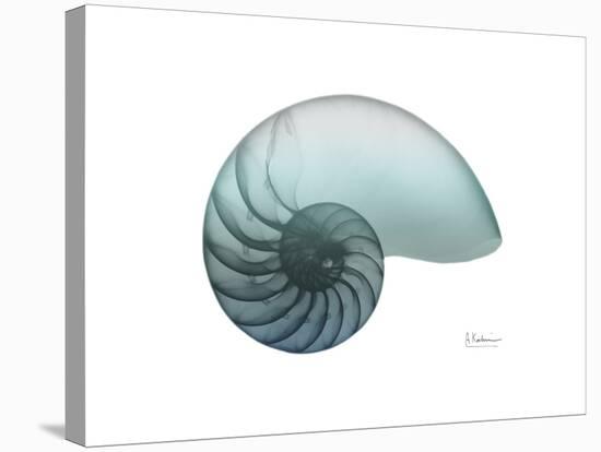 Water Snail 4-Albert Koetsier-Stretched Canvas